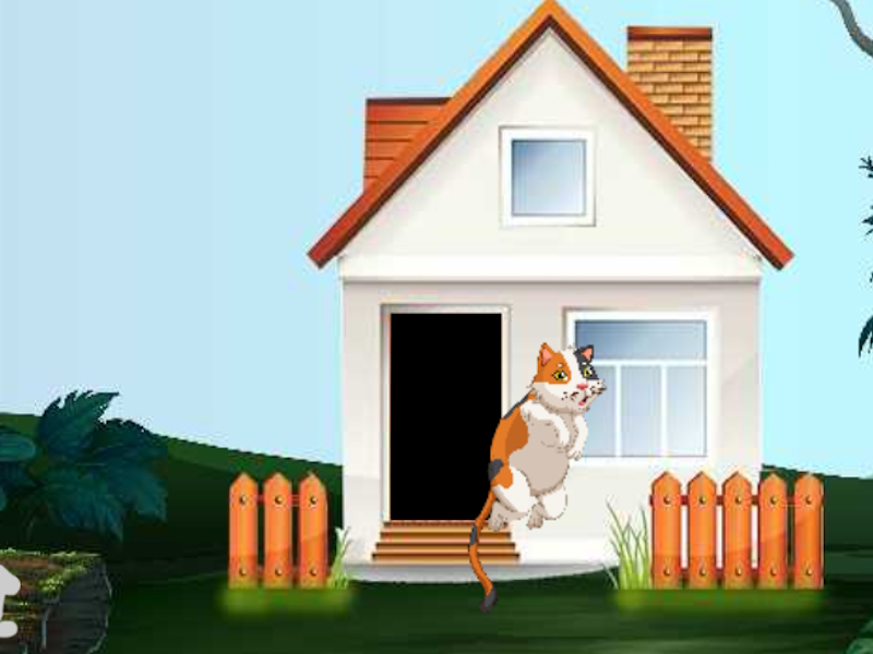 Gioco Curioso Cat Escape in linea