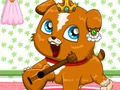 Gioco Roulette per animali domestici in linea