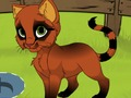 Gioco Il mio gattino  in linea