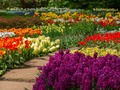 Gioco Giardino di fiori 2  in linea