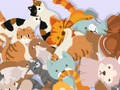Gioco Trova il gattino  in linea