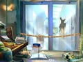 Gioco Documenti rubati  in linea