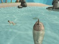 Gioco Simulatore di squalo Simulatore Beach Killer in linea