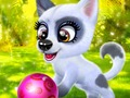 Gioco Cane felice  in linea