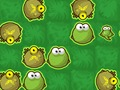 Gioco Rana rush in linea