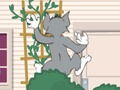 Gioco Tom und Jerry: Wasserbomben Wahnsinn in linea