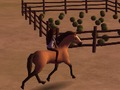 Gioco Spirito: Reite Los!  in linea