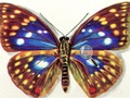 Gioco Differenze farfalle  in linea