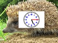 Gioco Orologi Puzzle Pics  in linea