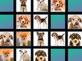Gioco Memoria animale  in linea