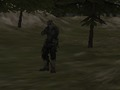 Gioco Agenzia FPS: Forest  in linea