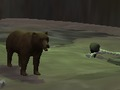 Gioco Orso  in linea