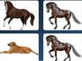 Gioco Problema di memoria dell'animale domestico  in linea
