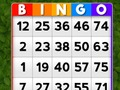 Gioco Bingo in linea