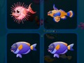 Gioco Carte di pesce  in linea