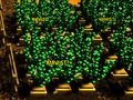 Gioco Pixel Farm in linea