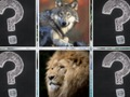 Gioco Memory Match Animali della giungla  in linea