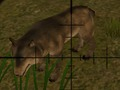 Gioco Cacciatori di animali  in linea