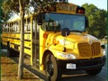 Gioco Puzzle di scuolabus  in linea