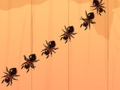 Gioco Formica Smash  in linea