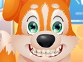 Gioco Dentista cucciolo carino  in linea