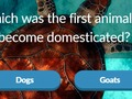 Gioco Curiosità sugli animali  in linea