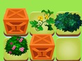 Gioco Fusione di piante  in linea