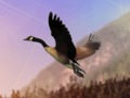 Gioco Duck Hunter in linea