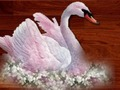 Gioco Love Birds puzzle in linea