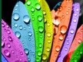 Gioco Colori E Disegni  in linea