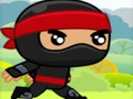 Gioco Ninja in linea