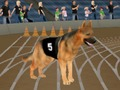 Gioco Crazy Dog Racing Fever in linea