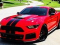 Gioco Differenze fantasiose di mustang  in linea