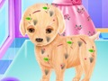 Gioco Chirurgia per cuccioli di elsa in linea