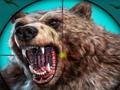 Gioco Caccia all'orso selvaggio  in linea