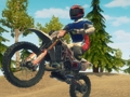 Gioco Sterl bici enduro corse in linea