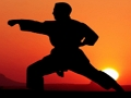 Gioco Karate Sunset Warriors in linea