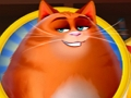 Gioco Kitty Scramble in linea