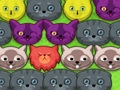 Gioco Gattini pop-pop  in linea