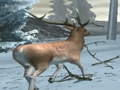 Gioco Forest Hunter in linea