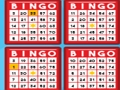 Gioco Gioco del bingo  in linea
