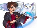 Gioco Collezione di puzzle di Harry Potter  in linea