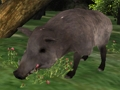 Gioco Puzzle da caccia al cinghiale  in linea