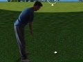 Gioco Flash Golf 3D  in linea