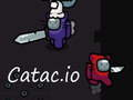 Gioco Catac. io  in linea