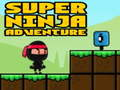Gioco Ninja Super Avventura  in linea