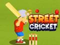 Gioco Cricket di strada  in linea