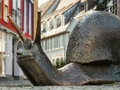 Gioco Puzzle Scultura Lumaca  in linea