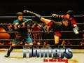 Gioco Combattenti sul ring  in linea