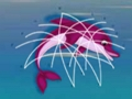 Gioco Salvataggio dei delfini  in linea